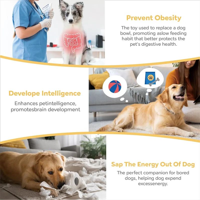 Woofaroo Puzzle Feeder – 3-Layer Slow-Eating Dog Bowl